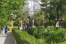 943 cadiz plaza san francisco